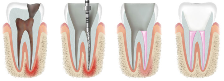 Focus Dental