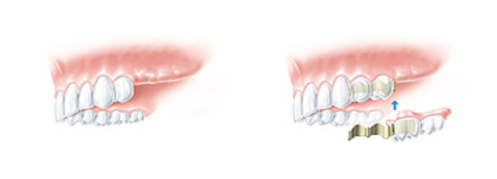 Focus Dental